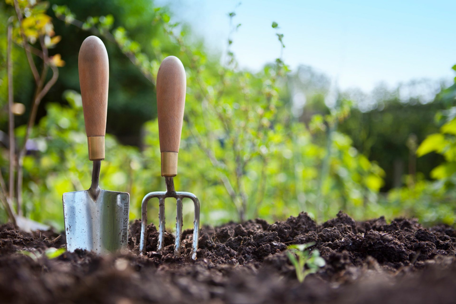 Gartenwerkzeug steckt in Erde