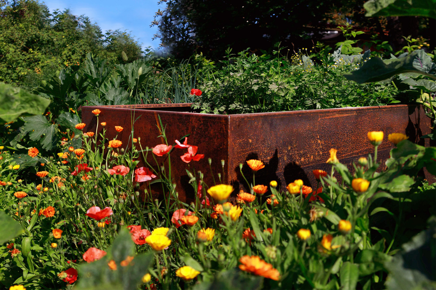 Cortenstahl Hochbeet mit Blumen