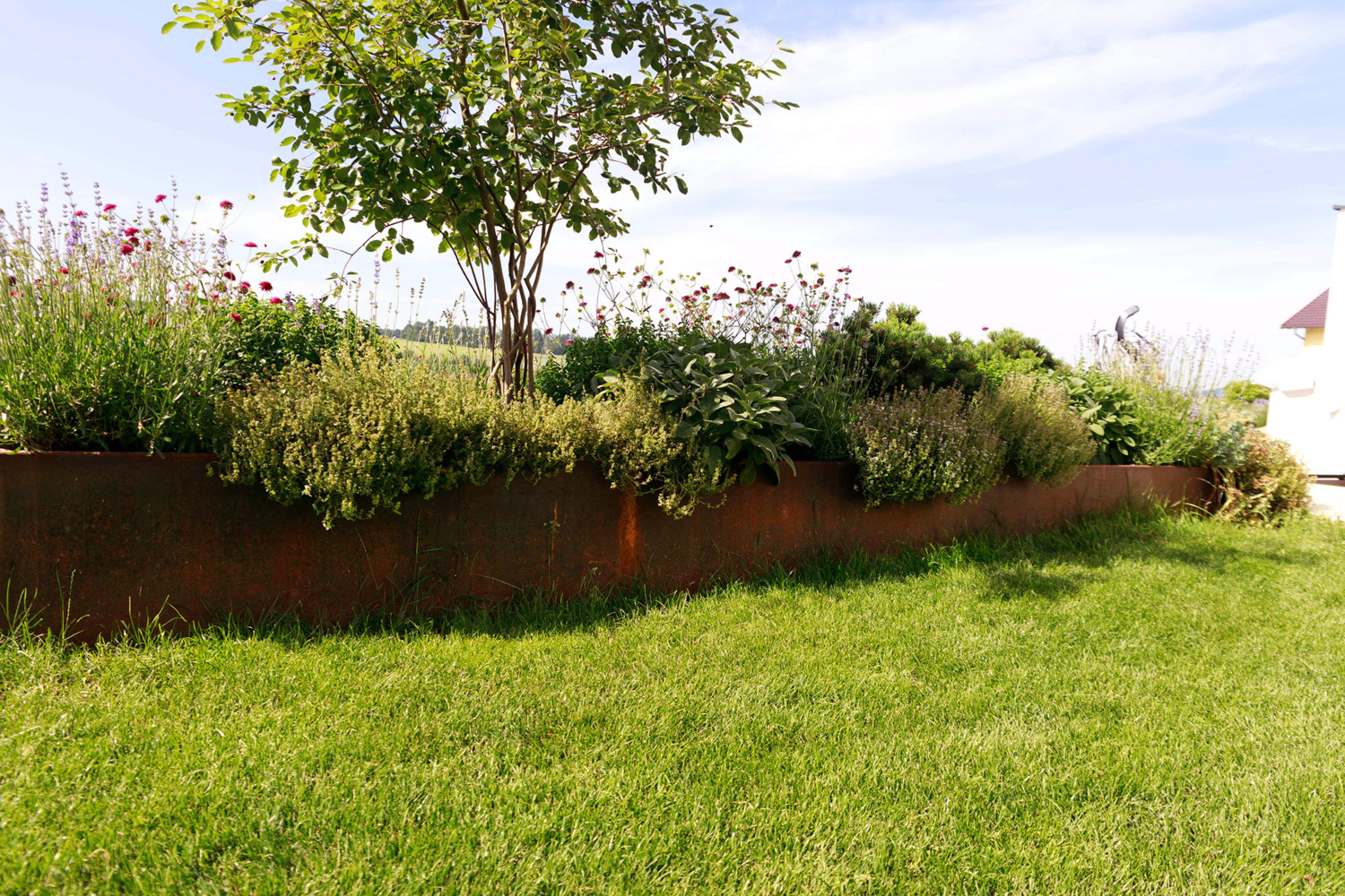 Cortenstahl Hochbeet im Garten mit Rasen und Baum